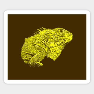 Iguana Sticker